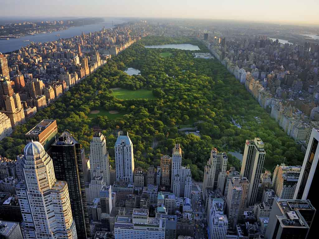 Primera Vez en  Nueva York 